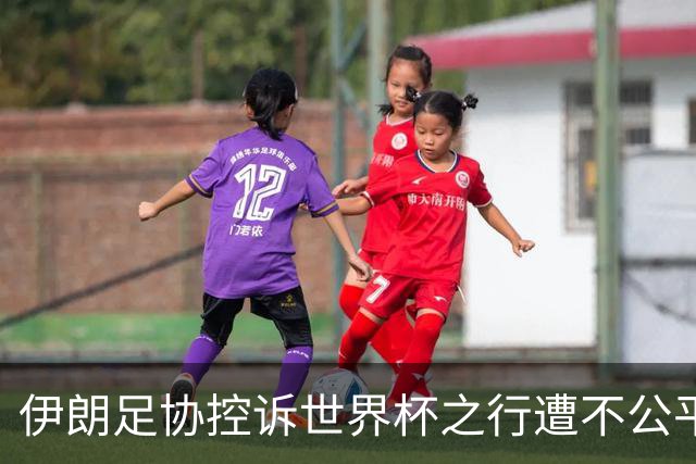 伊朗足协控诉世界杯之行遭不公平对待